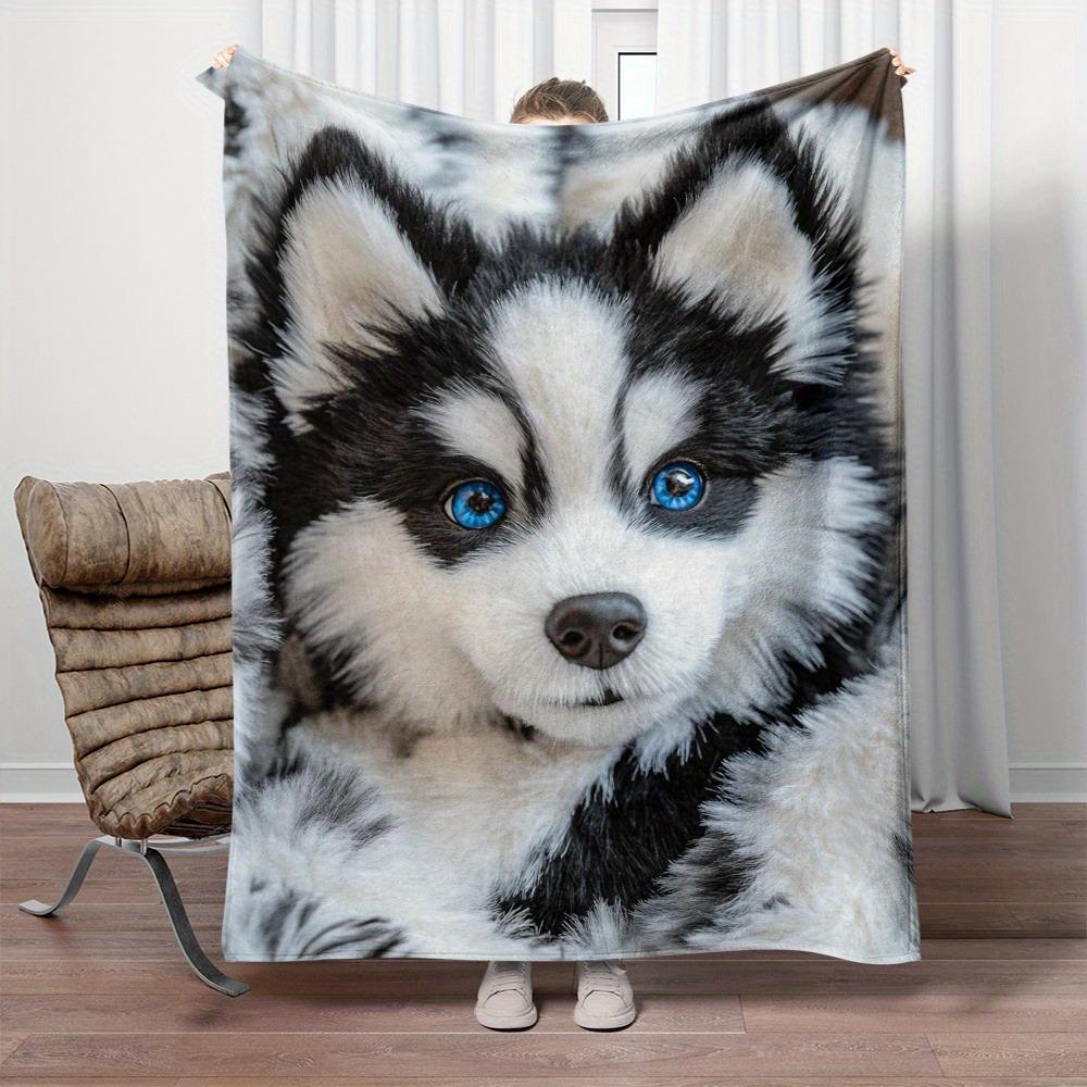 Cute Husky Pattern Throw Blanket, Pet - Lovers Home Decor Blanket