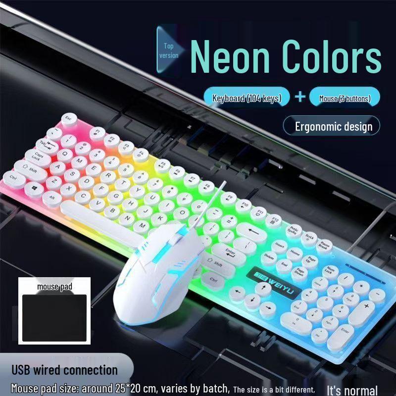 Luminous Punk Keycaps Wired Keyboard & Mouse Set for Gaming