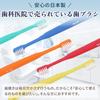 Fukuda Brush Kogyo [Made In Japan] 10-Pack (2 of Each of 5 Colors) Dental Toothbrushes, Children's Toothbrushes