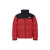The North Face 1996Nuptse Logo Rétro Homme NF0A3C8D-7GO