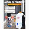 Household ultrasonic mousetrap and mouse