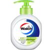 Walch Antibacterial Hand Soap