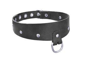 Narrow Collar with Semicircle Leder 1014