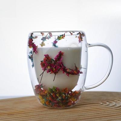 Dried Flower Double Wall Clear Glass Coffee Mug 250/350ml Insulated Glass Cup for Hot Cold Beverages Cappuccino Latte Espresso Cup Unique Gift