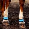 Horse Leg Straps 4 Pieces Animals Safety Gear Horse Leg Bands With LED Light For Grassland Stables Equestrian Night Riding