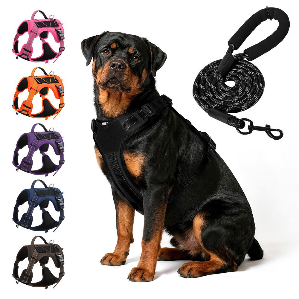 Classic Pet Harness With Reflective Adjustable Leash For Active Dogs