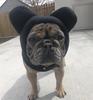 Winter Pet Hat Fleece Dog Warm Hat Ears Hoodie Scarf Set Pet Cat Dog Hat Headgear Warm Earmuffs Dog Warmth Accessories Outfits