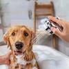Water Control Pet Shower Head Dual Mode Massage Shower Head Pet Washing Sprinkler  Household Use