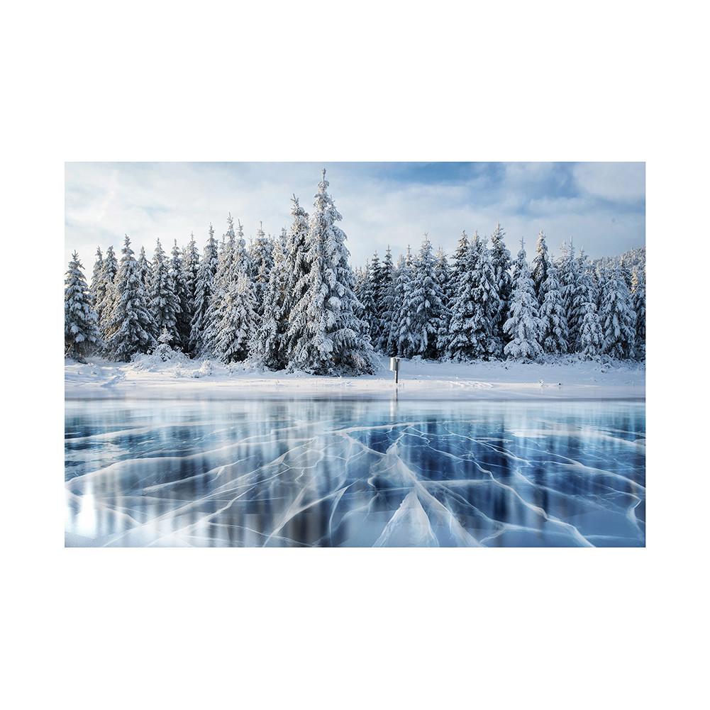 Plakat Świąteczny Scena Śnieżna Rekwizyty Tła Festiwalowego do Dekoracji Domu, Imprez, Studia, Uroczystości Plenerowych, Ślubu