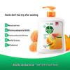 Dettol Natural Fresh Hand Wash