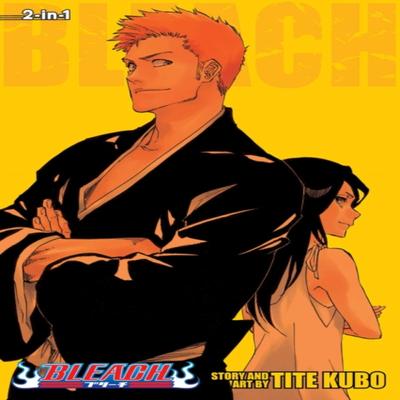 Bleach 2in1 Edition Vol. 25 by Tite Kubo Paperback Book 9781421598703