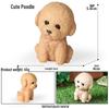 Solid Cute Animal Models: Squirrel, Shiba Inu, Teddy, Hamster, Panda, Flying Squirrel Car/Desktop Ornaments