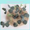 Leaves Eucalyptus Artificial Robusta Smith For Wedding Party Decor