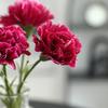 6Pcs Faux Silk Flower Material Artificial Carnation Flower Realistic No Watering Anti-fade Fake Flower DIY Gift Mother Day Adult Sex Wear