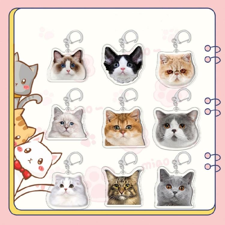 Cartoon Cat Pendant Lovely Animal Shaped Keychain Acrylic Keyring Bag Ornament