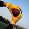 VIXST Footballhandschuhe "G2", American Football, Handschuh, VIXST, fangen, blocken,