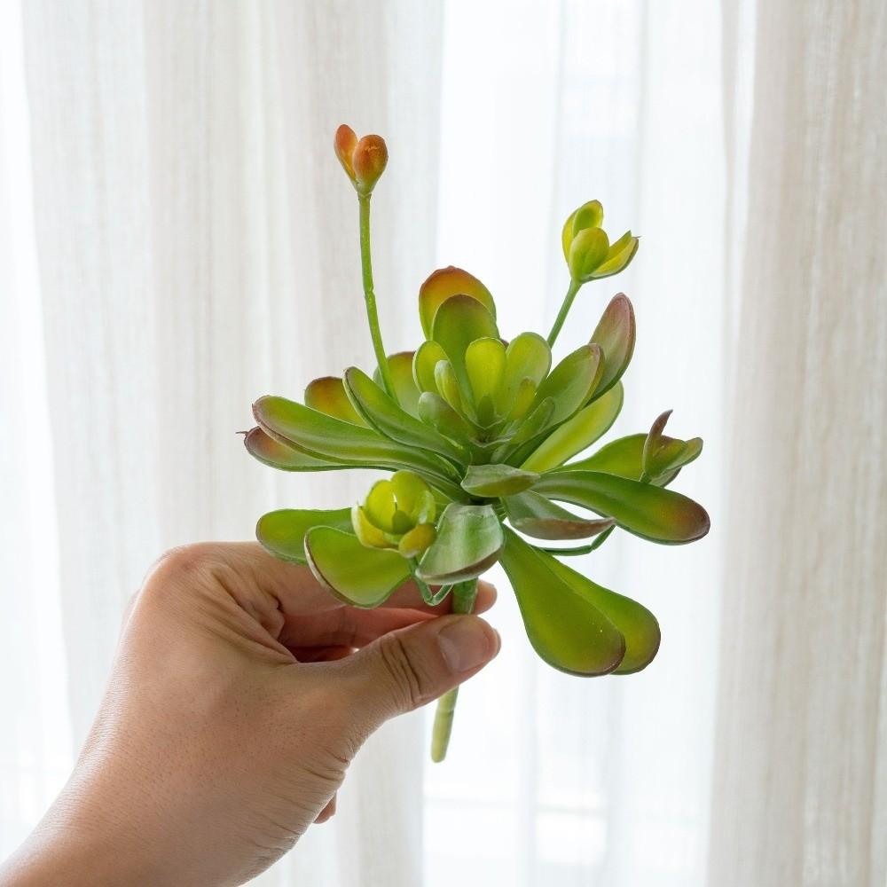 Fleshy Fake Cactus Real Touch Simulation Bonsai Plant  Balcony Decoration