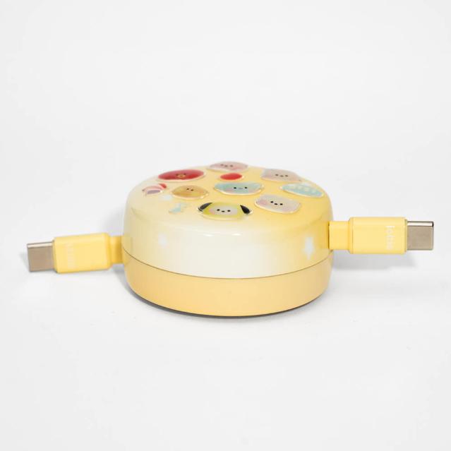 BT21 100W Retactable USB-C Cable