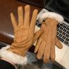 Suede Brown Plush Gloves Women's Autumn and Winter Thickened Plush Warm and Cold Outdoor Riding Gloves