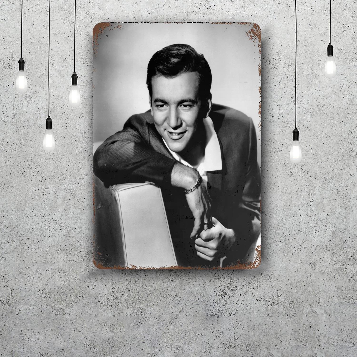 

Bobby Darin Funny Bar Metal Sign Retro Plaque Vintage Sign Alcohol Drinker Pub Club Man Cave Kitchen Wall Decoration 20x30cm（7.8x11.8inch）
