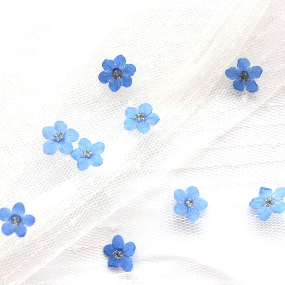 DIY Candle Making Natural Jewelry Pressed Flower Don't Forget Me Forget-Me-Not Dried Flowers