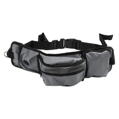 Dog Training Waist Bag Large Capacity Reflective Puppy Treat Waist Pouch with Bottle Holder Poop
