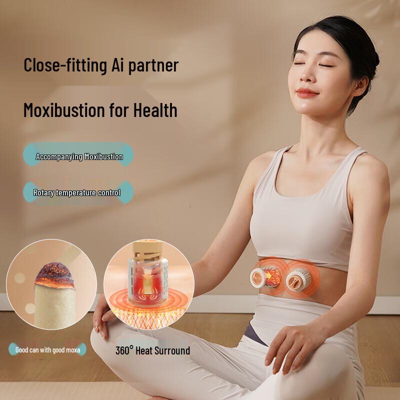 Hezheng Waist Massager & Smokeless Moxibustion Gift Set