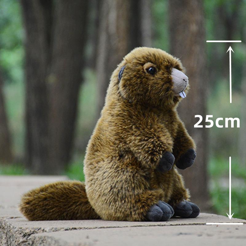 Groundhog Plush Toy, Lifelike Marmot Stuffed Animal, Realistic Land Beaver Plushie, Grassland Chuck Simulation Doll Gift
