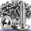 Round Head Self-Tapping Screw Stainless Steel Phillips Recessed Truss Head Wood Screws Mushroom Screw Woodworking Fasteners