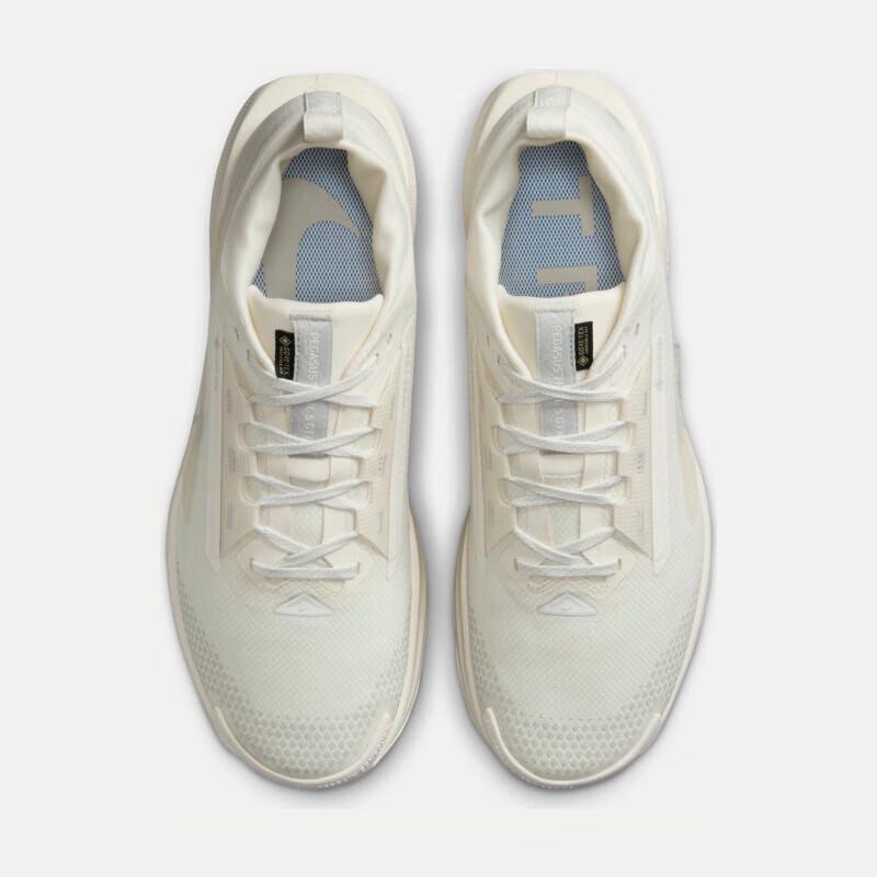 Nike Men's Pegasus GTX Winter Running Shoes