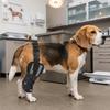 Hind Leg Support Dog Hind Leg Brace Joint Stabilizing Pet Recovery Brace  Daily Mobility Support