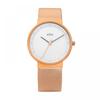 Braun Bn0031rgmhl Classic Public Metal Watch