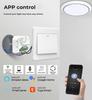 Graffiti Smart WiFi Voice-Controlled 2-Way On/Off Switch XS01B
