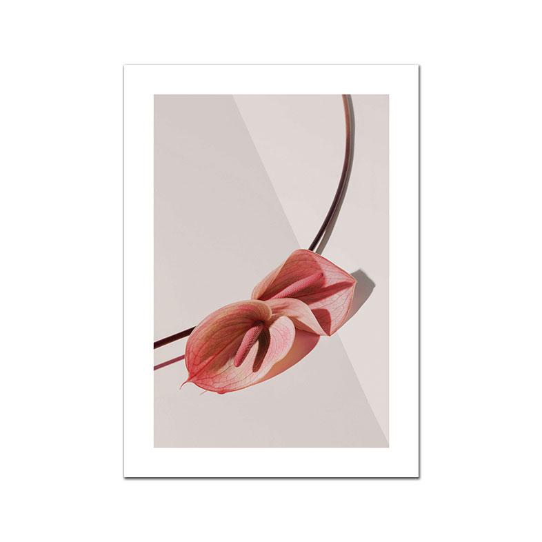 White Pink Red Flower Posters and Print Beatiful Peony Lily Poppy Canvas Painting Modern Wall Art Picture Living Room Decoration