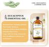 EUQEE 100% Eucalyptus Essential Oil 118ml X 2