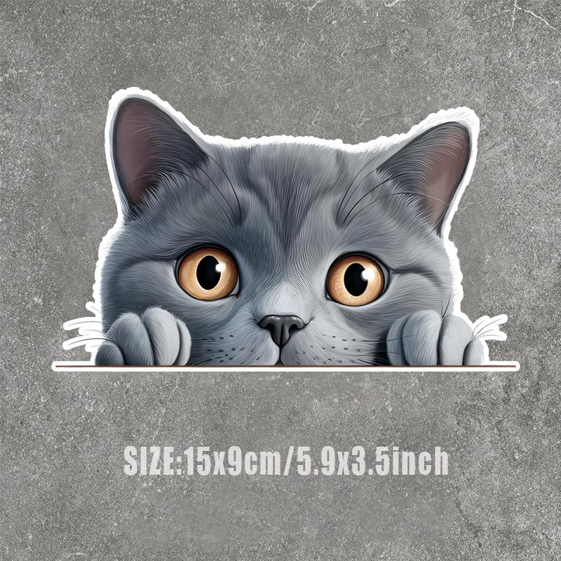 

Милий маленький кіт дивиться на вас Наклейки для автомобіля Смішні водонепроникні вінілові наклейки Декоративні аксесуари для мотоциклів червоний