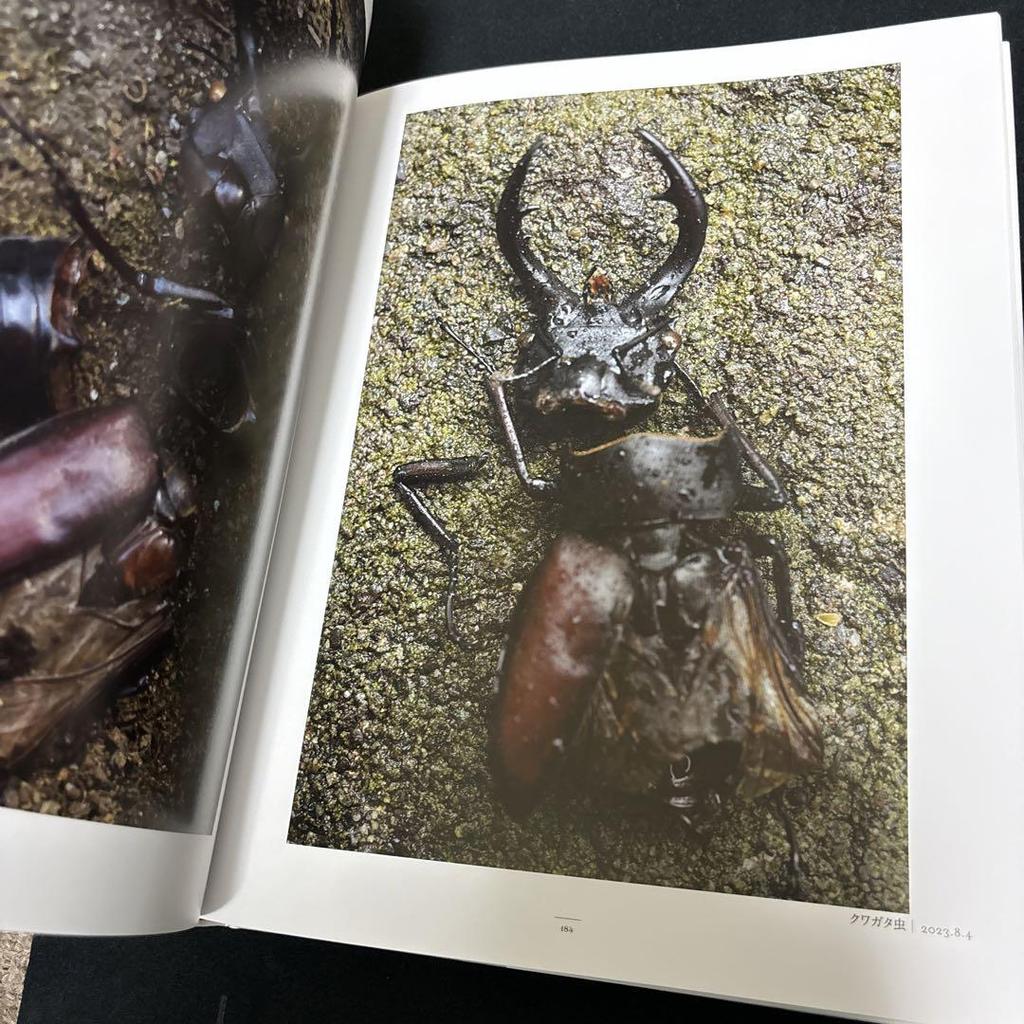 [USED] The Shape of Life: A Photo Collection by Tsuneo Enari