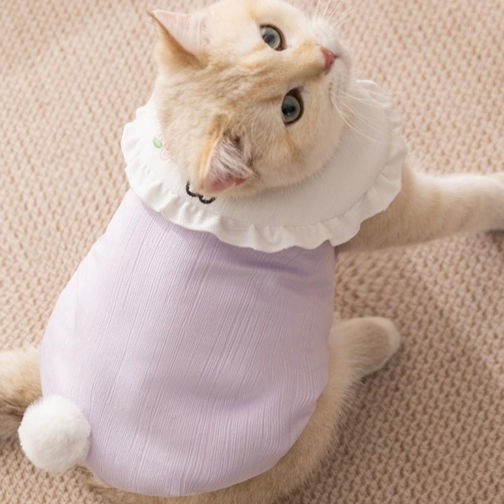 Cartoon Dog Rabbit Collar Vest Rabbit Pattern Two-Leg Dog Clothing  Autumn Winter