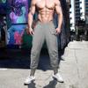 Sports Pants Men's Fitness Trousers Summer Thin Section Loose Quick-drying Elastic Feet Running Training Sweatpants