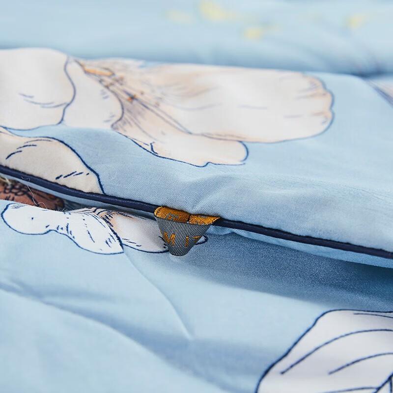 Softnie Cationic Antibacterial Summer Fiber Quilt