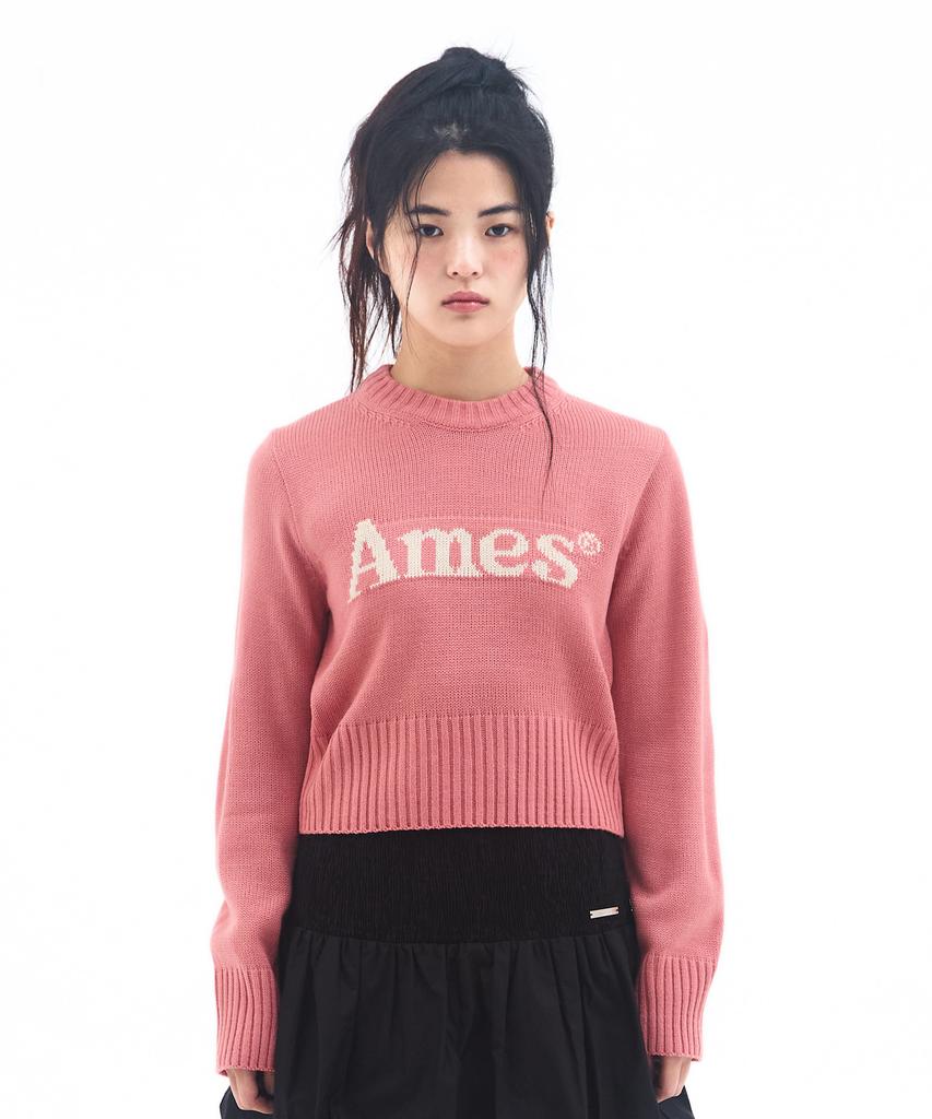 AMES-WORLDWIDE Basic Pullover Knit Pink
