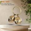 Perros – Collares y correas