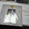 IU Flower Carpillowen LP (unopened)