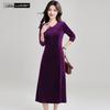 Women's V-Neck A-Line Velvet Embellished Dress