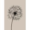 Feather Tree Neutral Dandelion Poster Minimalist Botanical Canvas Painting Print Wall Art Picture for Living Room Home Decor