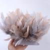 1Meter Mixed Color Turkey Feather Trim Fringe 10-15cm Dyed Feathers Ribbon for Costume Party Dress Decoration Accessory Crafts