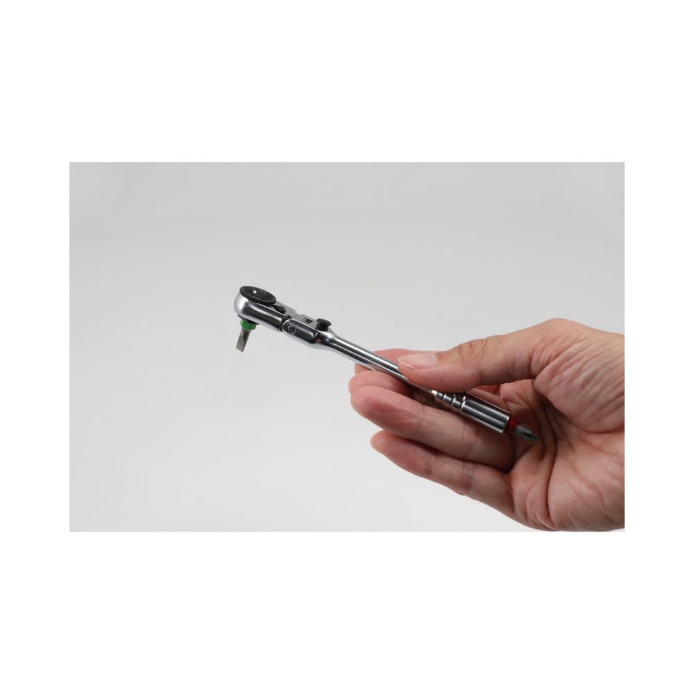 SIGNET Mini Ratchet Flex Head 22074 Set, 60-Gear, Type, Blue,