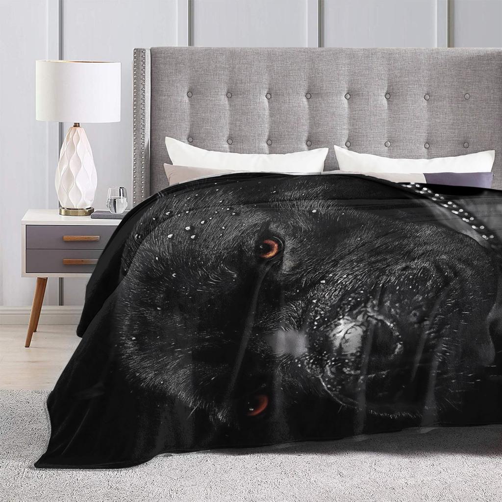 Cane Corso Flanelldecke Weiche Überwurfdecke für Sofa Sessel Flugzeugreise Flauschige Tagesdecke Sofa Bettbezug