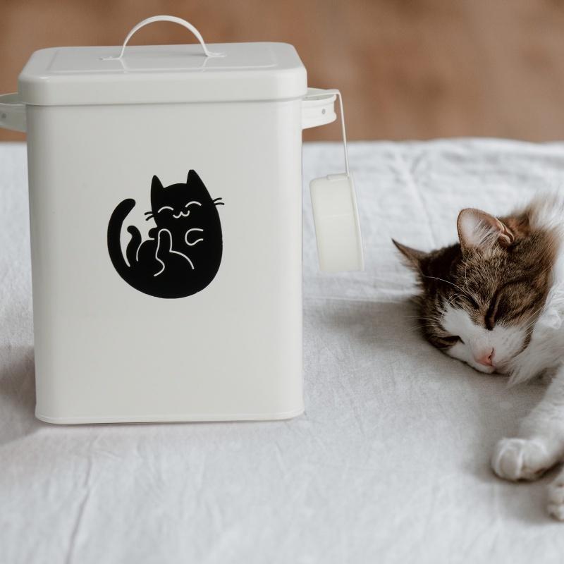 Katzenfutter Aufbewahrungseimer Hundefuttereimer Versiegelte feuchtigkeitsgeschützte Aufbewahrungsbox Metall Haustier Snack Aufbewahrungseimer