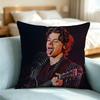 Harry Styles Folk Pop Pillow Case Square Double-Sided Sofa Cushion Cover Bedroom Bedside Pillow Gift